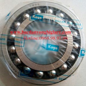 VÒNG BI KOYO - 1209