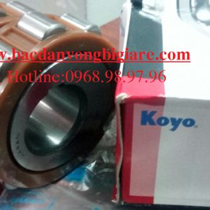 VÒNG BI LỆCH TÂM 6141317 YSX KOYO