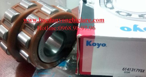 VÒNG BI LỆCH TÂM 6141317 YSX KOYO