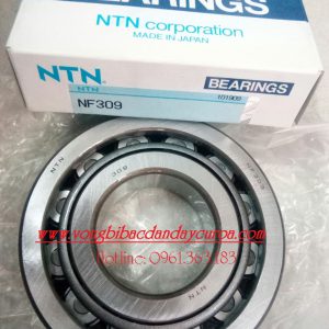 VÒNG BI NF309 NTN