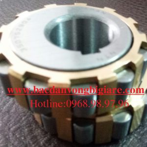 VÒNG BI RN312-UZ312-29-35-87-G1P6