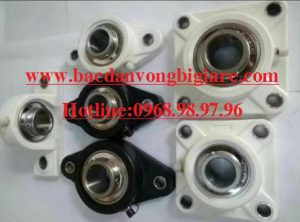 GỐI ĐỠ VÒNG BI NHỰA INOX