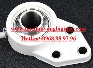 GỐI ĐỠ VỎ NHỰA RUỘT INOX