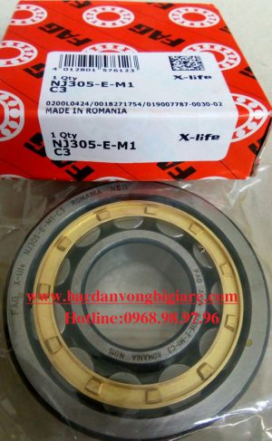 VÒNG BI NJ305 E M1 C3