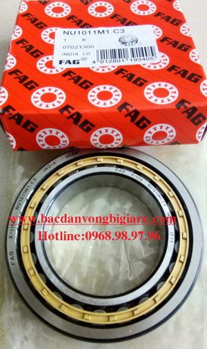 VÒNG BI NU1011M1.C3