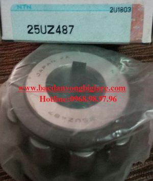 VÒNG BI LỆCH TÂM 25UZ487