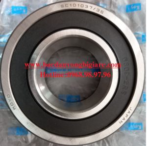 VÒNG BI SC10103735