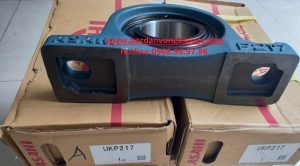 GỐI ĐỠ UKP217 ASAHI
