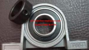 BẠC ĐẠN VÒNG BI P004