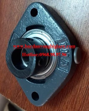 ĐẠI LÝ BẠC ĐẠN INA