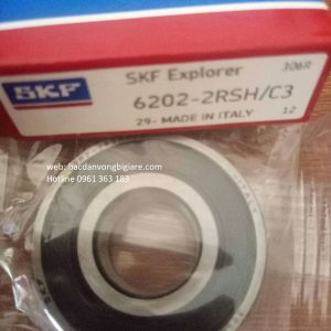 Vòng bi 6324 2rs1