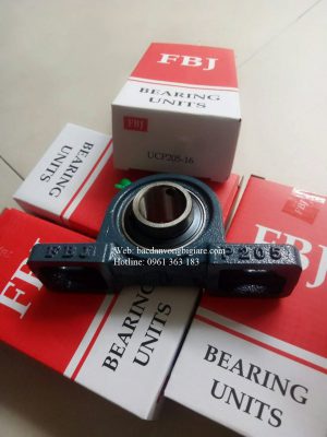 GỐI ĐỠ UCP205-16