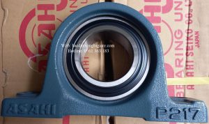 GỐI ĐỠ UKP208