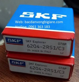 BẠC ĐẠN 6300 2RS1