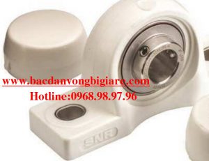 GỐI ĐỠ NHỰA BẠC ĐẠN INOX