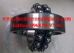 VÒNG BI 1101