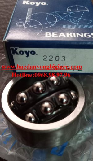 VÒNG BI 1301