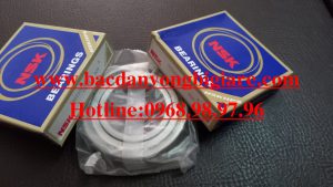 BẠC ĐẠN 6000Z INOX