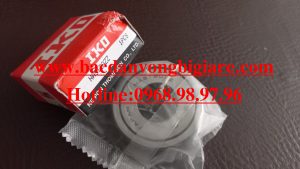 VÒNG BI RNAST40