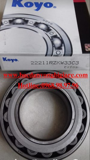 BẠC ĐẠN 22205RZW3C3
