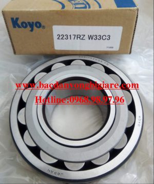 BẠC ĐẠN 22205RZKW3C3