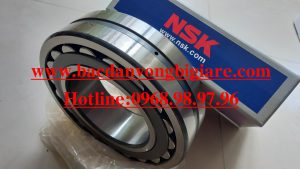 BẠC ĐẠN 22204CKE4