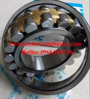 BẠC ĐẠN 22305 E/C3