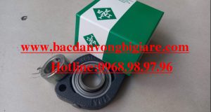 BẠC ĐẠN FLCTE20