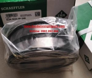 VÒNG BI SL045011 PP