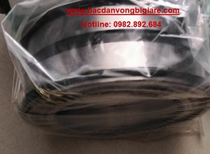 VÒNG BI SL045011 PP