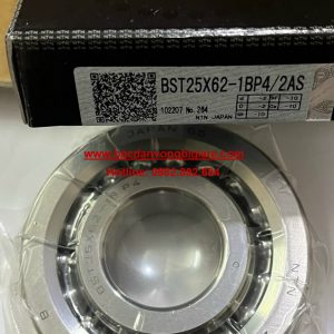 Ổ BI BST50X100-1BP4