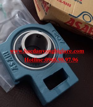 GỐI ĐỠ T 308