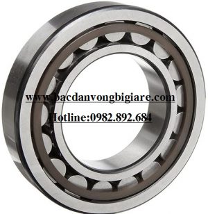 VÒNG BI NU 460 E-C-P