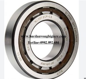 VÒNG BI NU 456 E-C-P