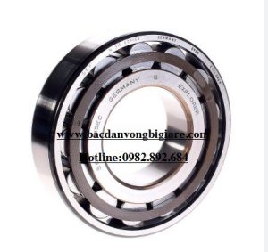 VÒNG BI N 368- E-C-P