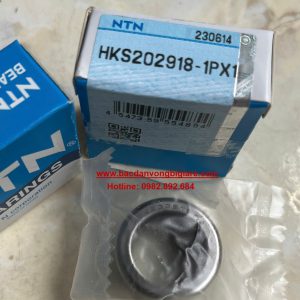 BEARING HKS202918 1PX1