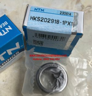 VÒNG BI HKS 202918-1PX1