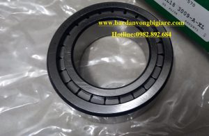 VÒNG BI SL185009-XL