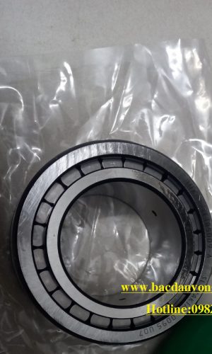 VÒNG BI SL185007-XL