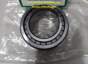 VÒNG BI SL185010-XL