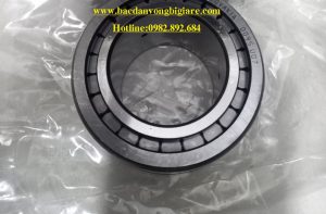 VÒNG BI SL185005-XL