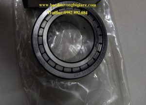 VÒNG BI SL185003-XL