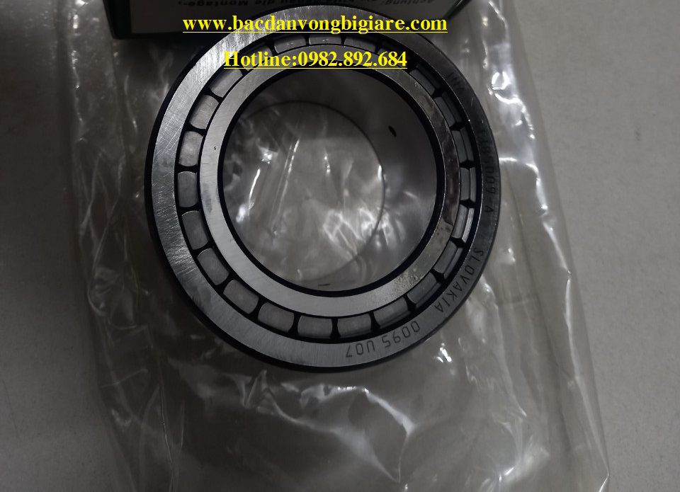 VÒNG BI SL185003-XL