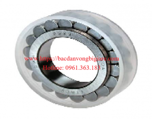Bạc đạn, ổ bi, vòng bi Nhật 000218-2