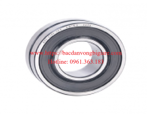 Bạc đạn, ổ bi, vòng bi Nhật BS2 2206 2CS-VT143