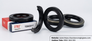 PHỚT VÒNG BI TSNG517